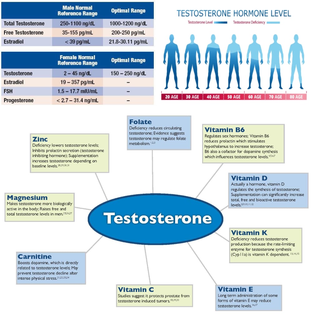 testosterone nutrients needed