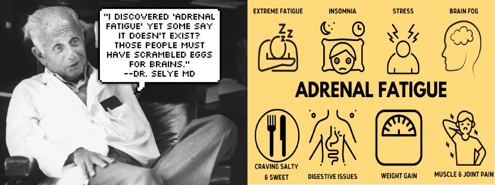 adrenal fatigue is real