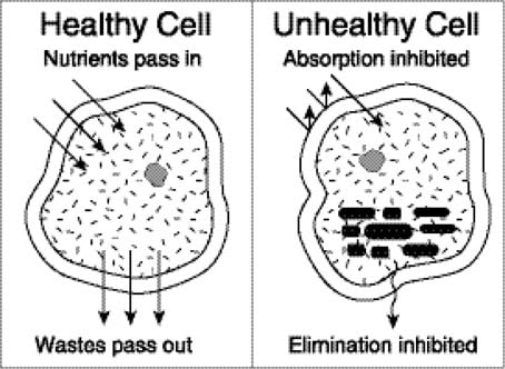 healthun cell500 min