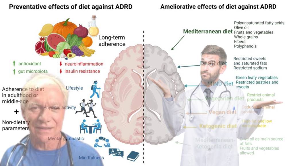 brain atrophy cell nutritional causes