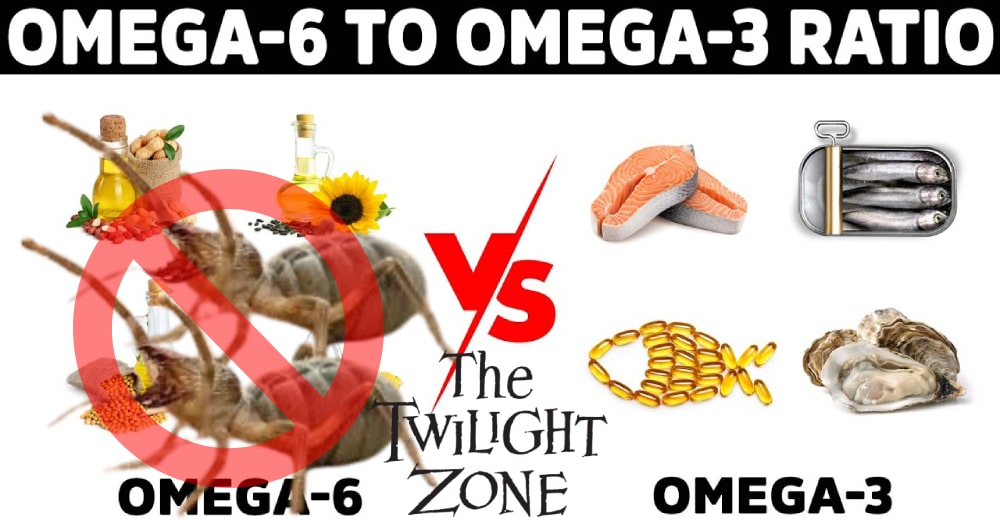 arachidonic acid: omega 3 vs omega 6: isn't from spiders