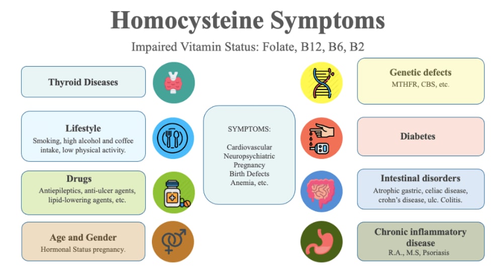 high homocysteine and health problems