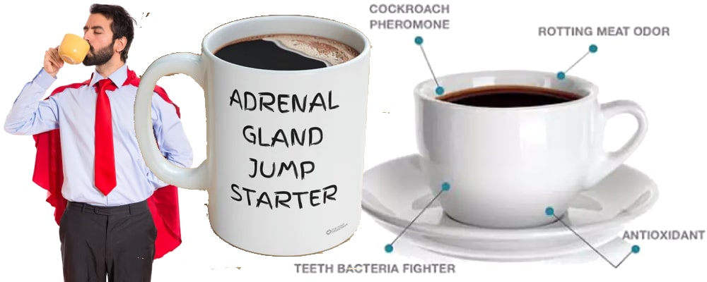 coffee addict default replies & coffee cups