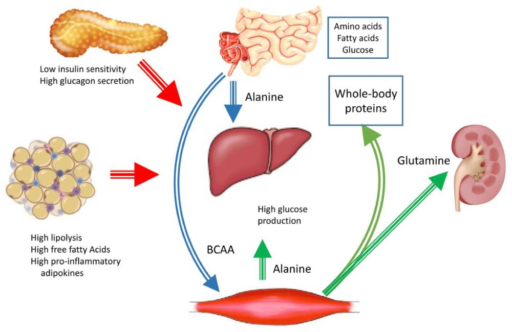 holistic approach to diabetes